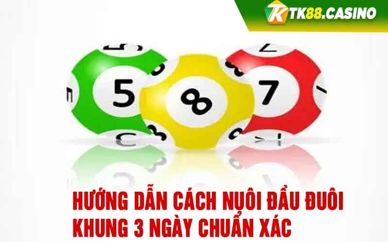 Hướng dẫn cách nuôi đầu đuôi khung 3 ngày chuẩn xác 