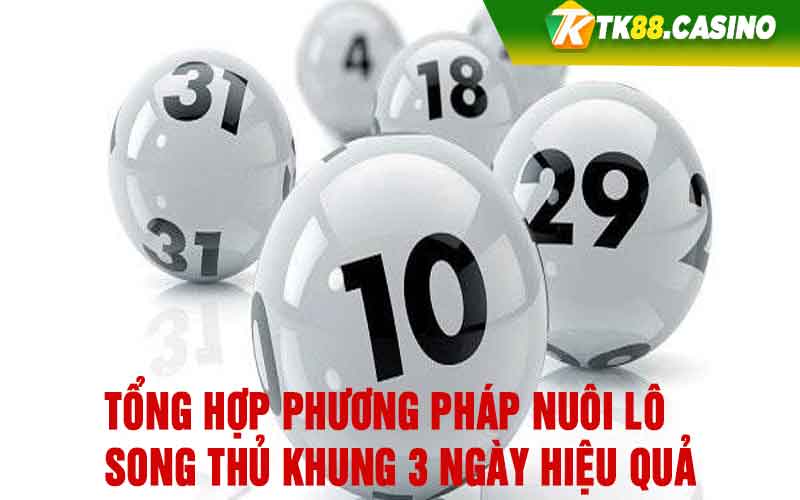 Tổng hợp phương pháp nuôi lô song thủ khung 3 ngày hiệu quả 