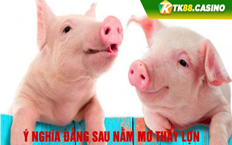 Ý nghĩa đằng sau nằm mơ thấy lợn 