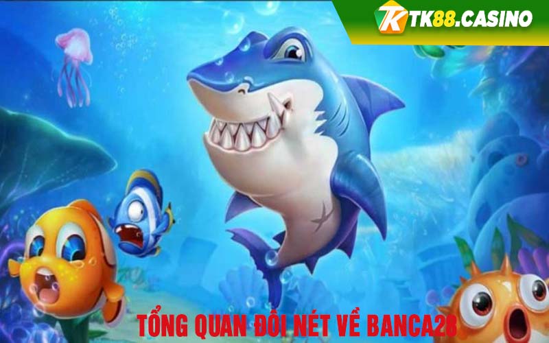 Tổng quan đôi nét về Banca28